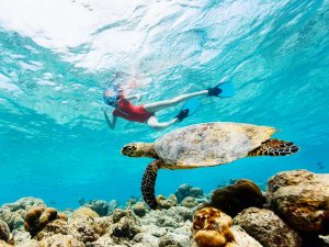 mexico akumal snorkelen