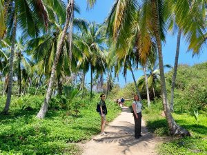 wandeling door Tayrona National Park