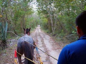 Merida Mexico Kids - cenote excursie