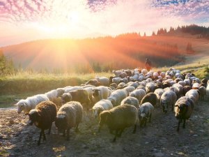 serra da estrela portugal met kinderen
