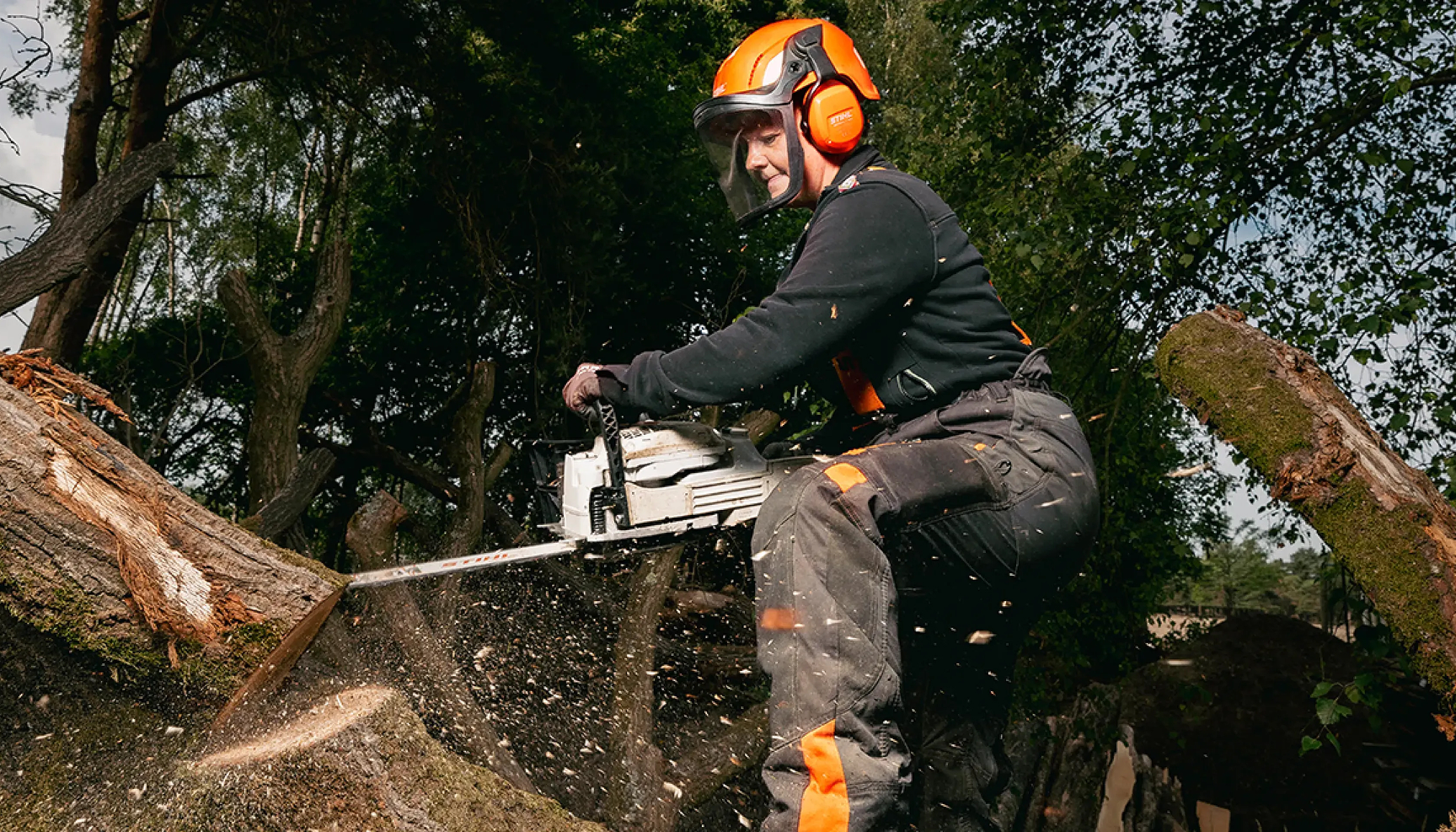STIHL