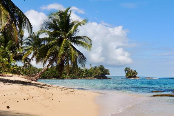 Aerial shot of a yacht moored near a lush green Mediterranean coastline.