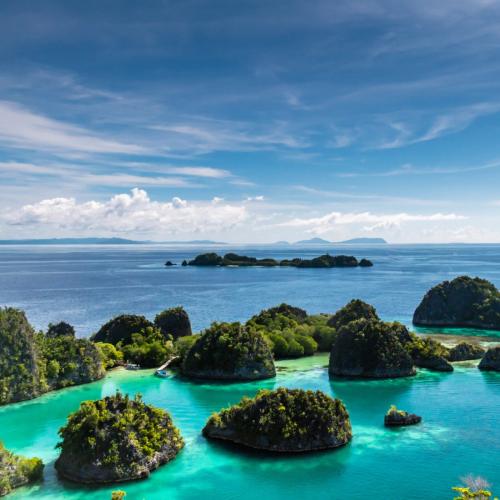 Chef plating fine dishes in the yacht’s modern galley kitchen.