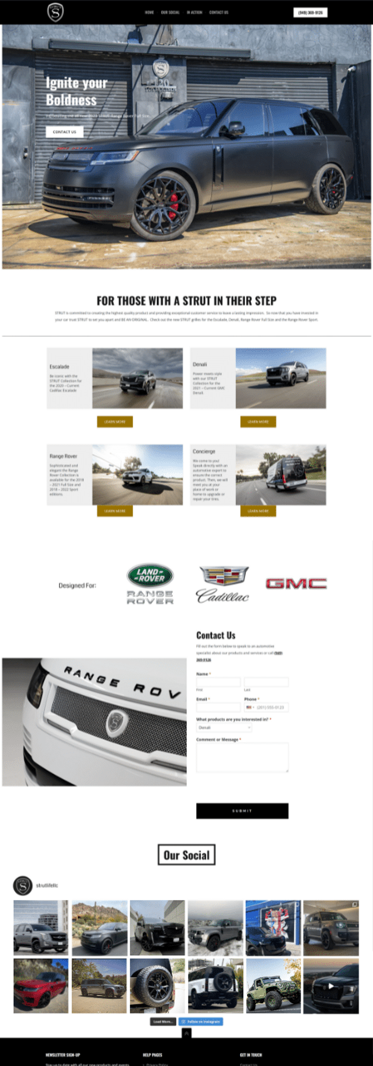 STRUT website before the rebuild