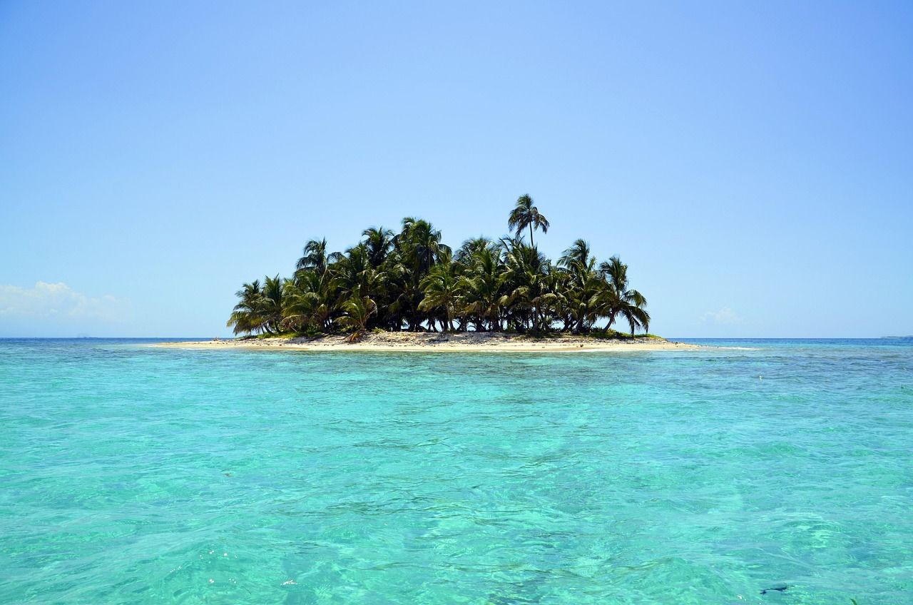 Petite île couverte de palmiers dans une mer turquoise
