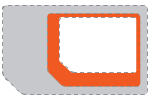 Standard SIM Card