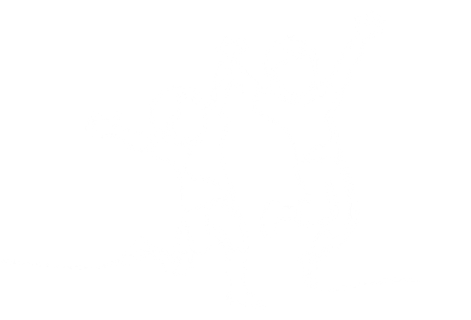 White line drawing of two children jumping with raised arms, one holding the hand of the other.