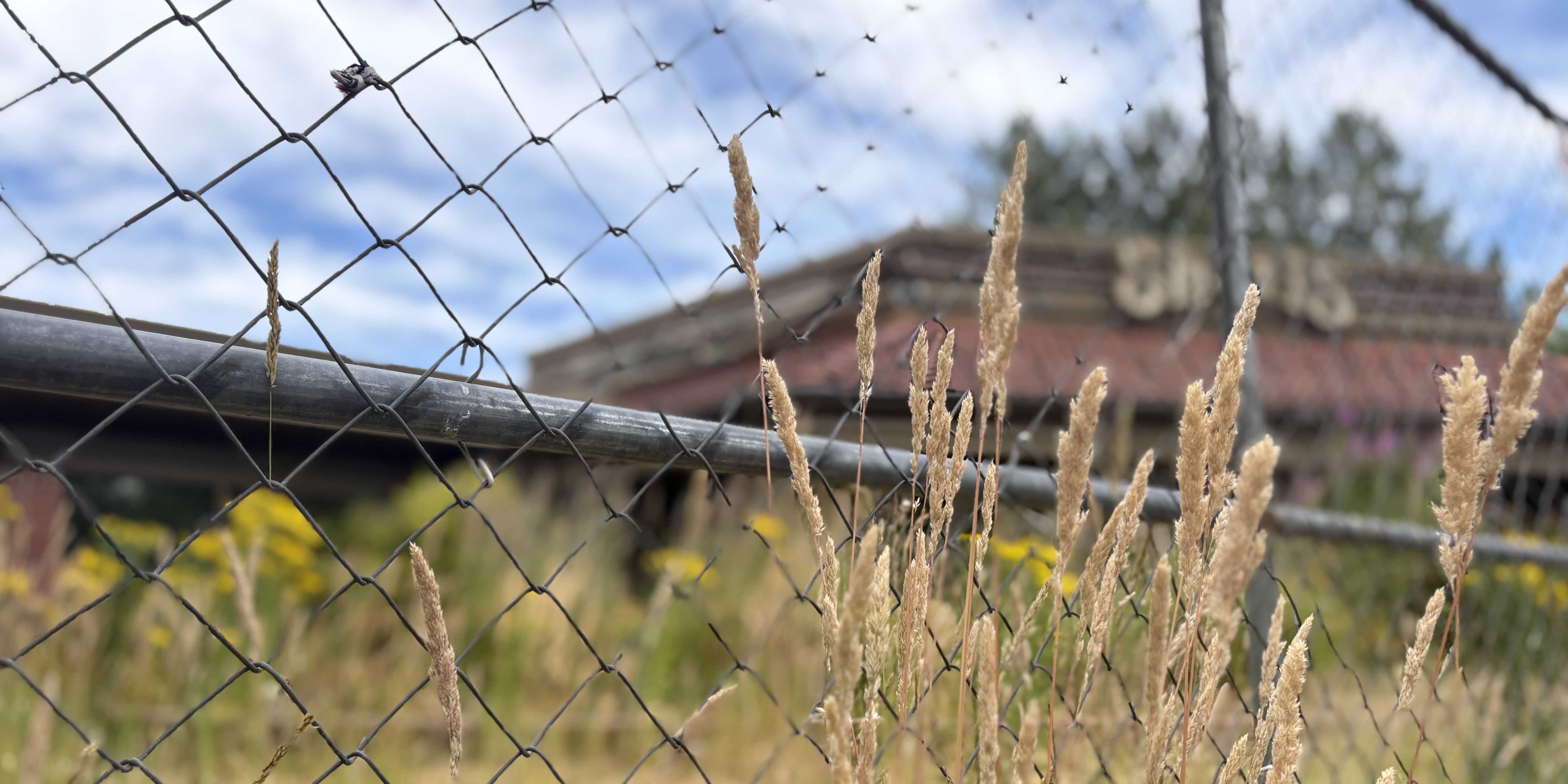 Vacant Shari's Restaurant with weeds