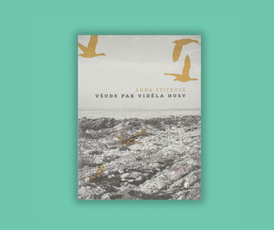 Všude pak viděla husy