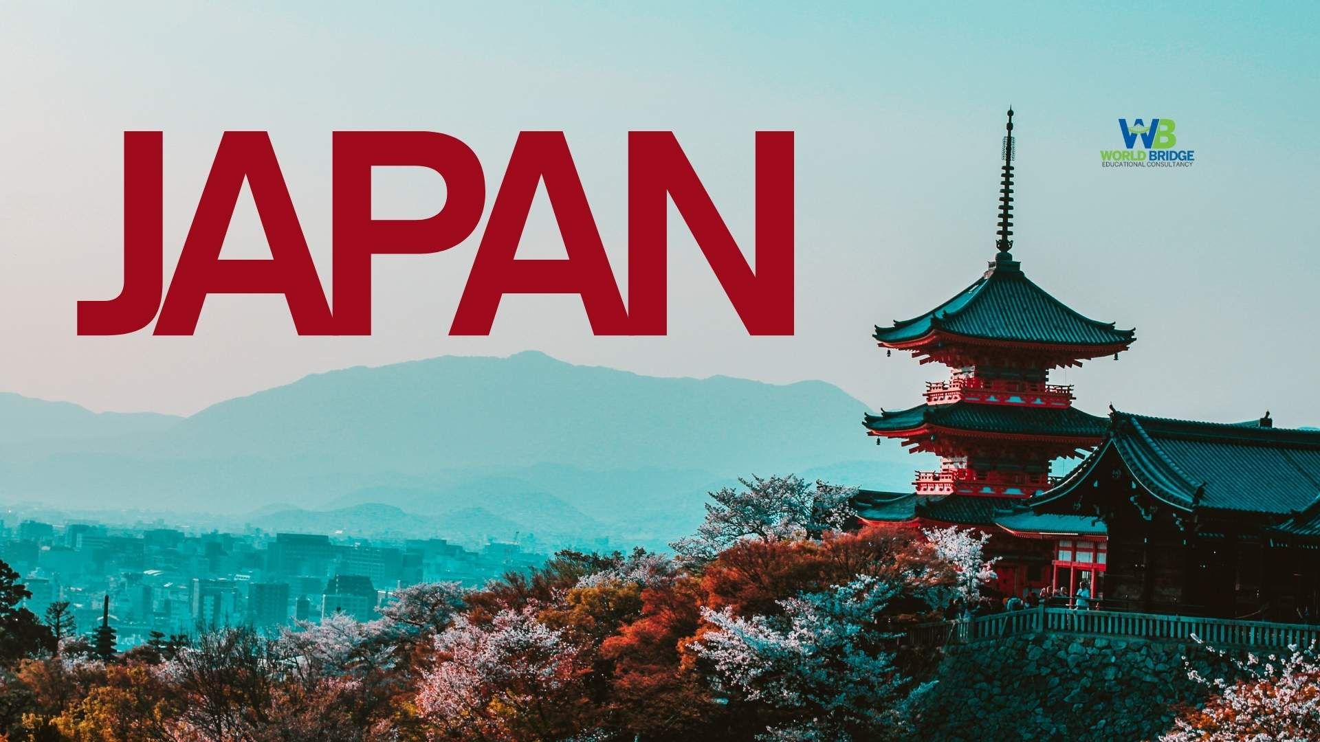 The Ultimate Roadmap to the Certificate of Eligibility (COE) for Japan Student Visas