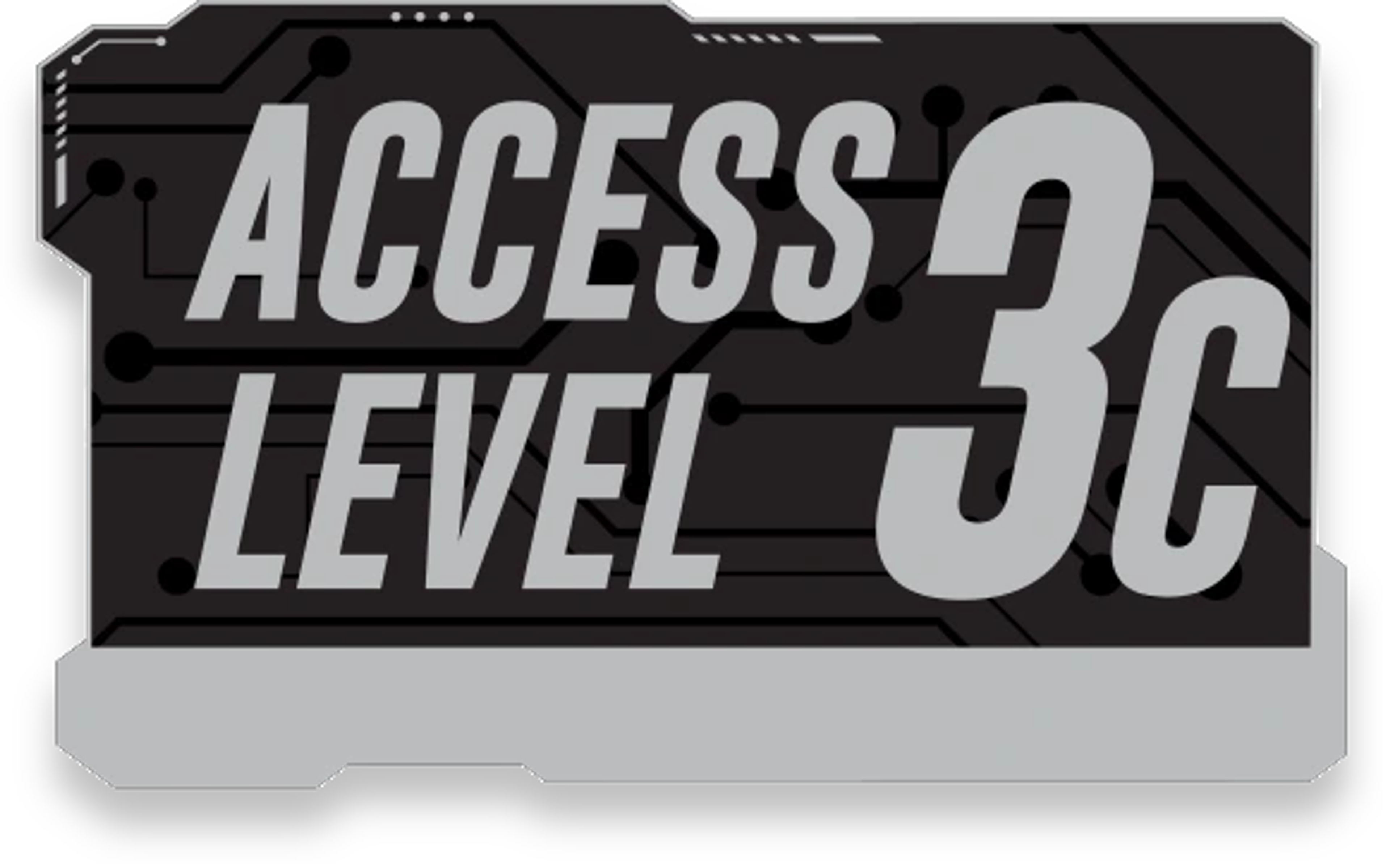 Level 3C