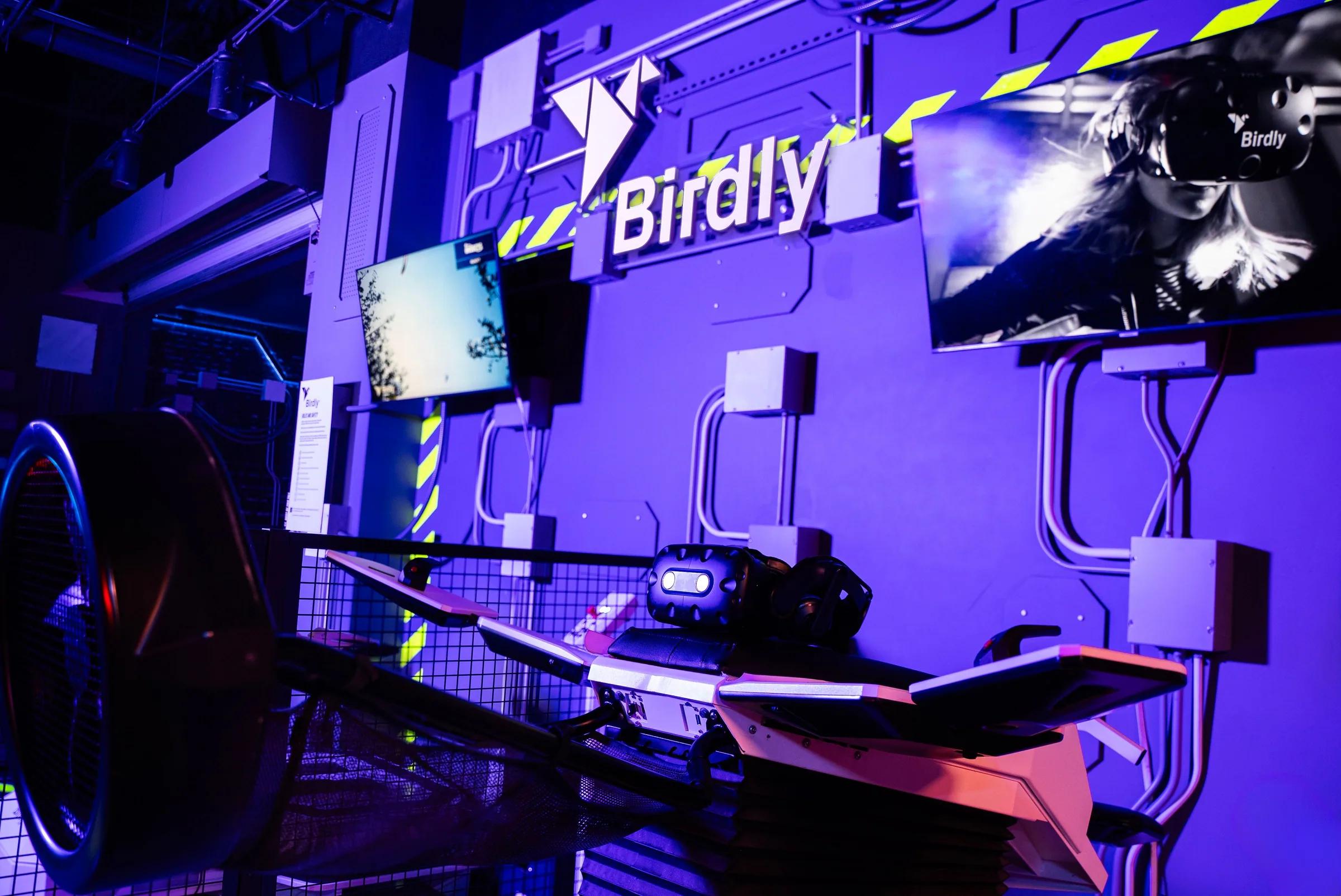 Birdly