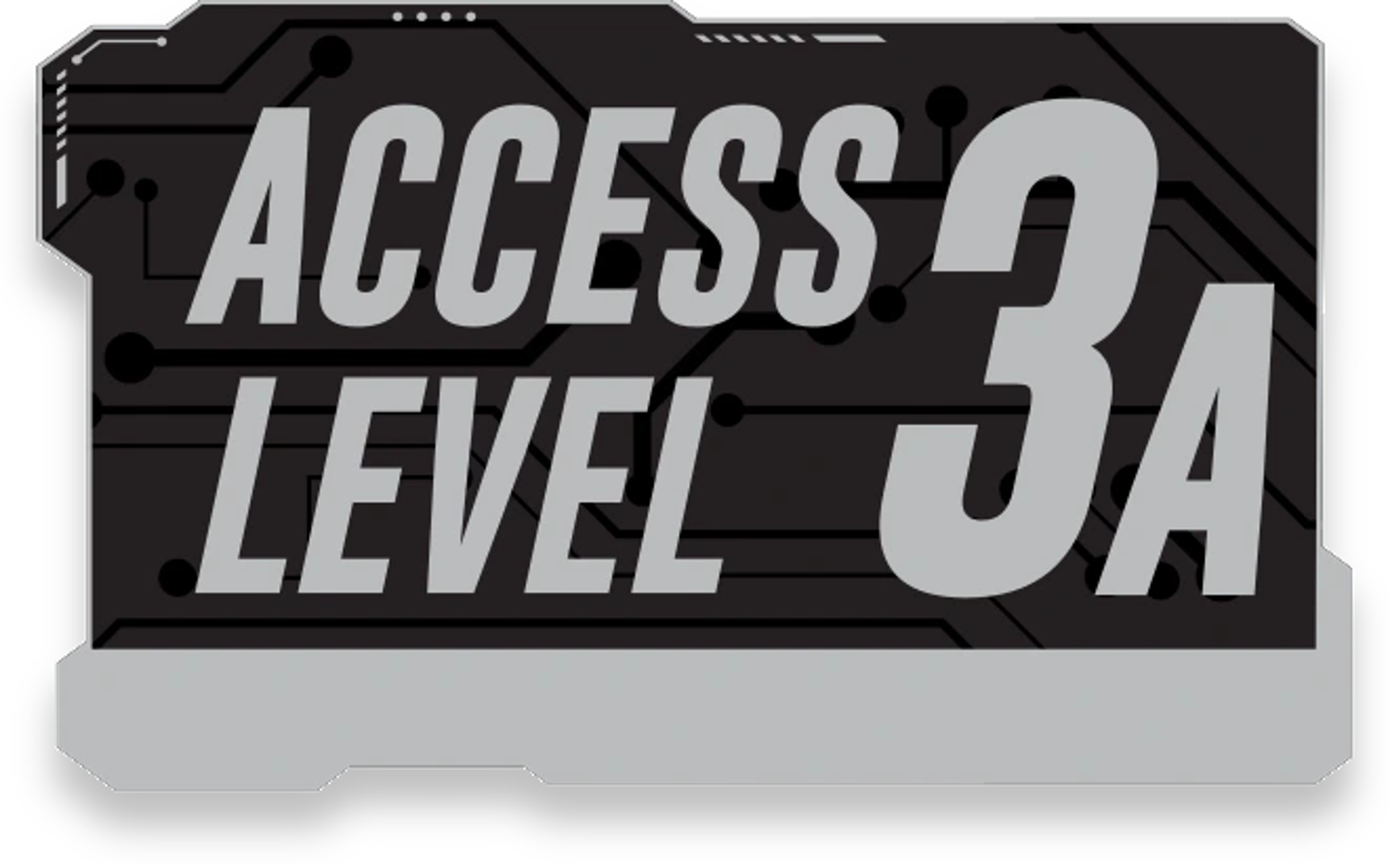 Level 3