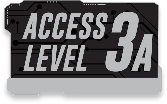 Level 3
