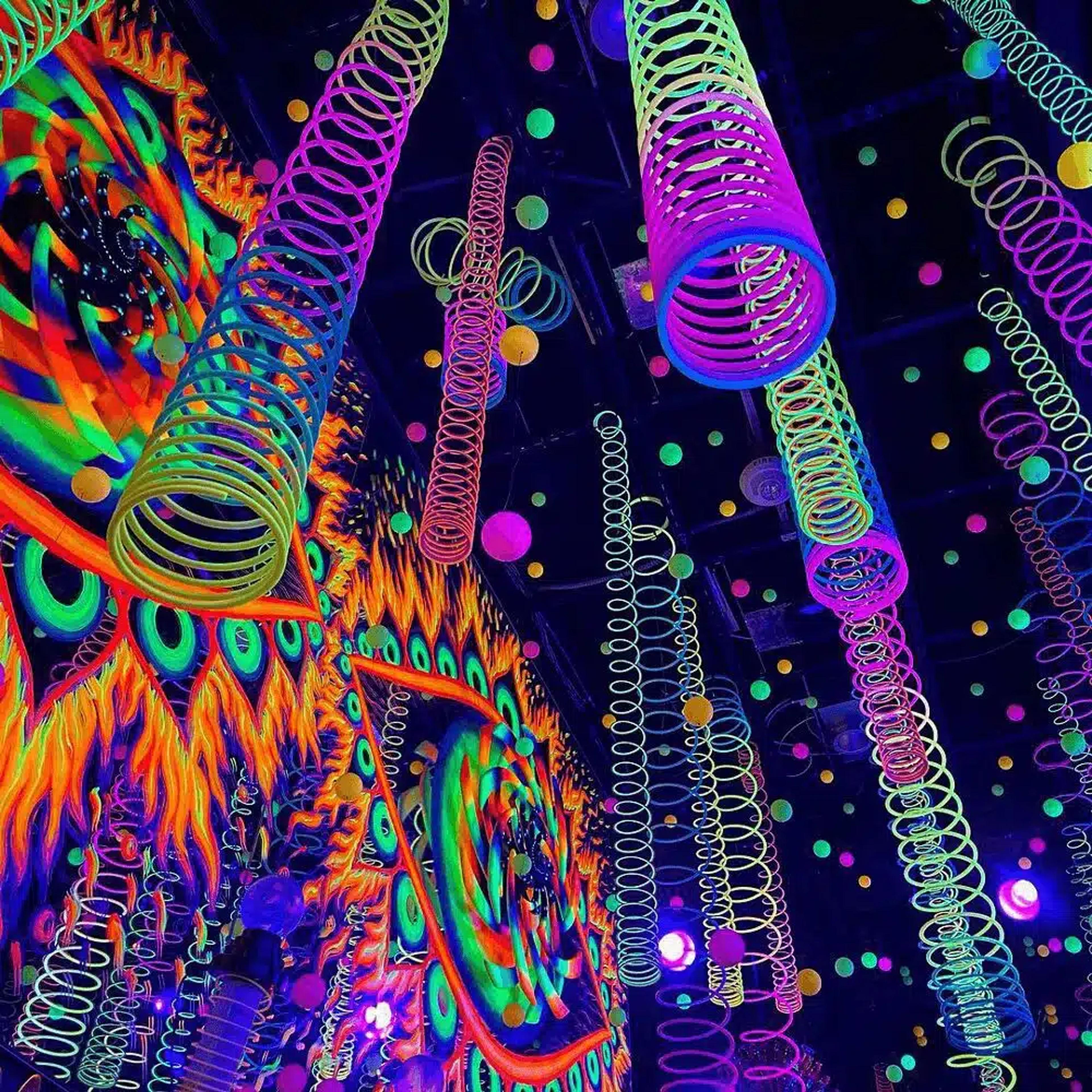 Wink world ceiling