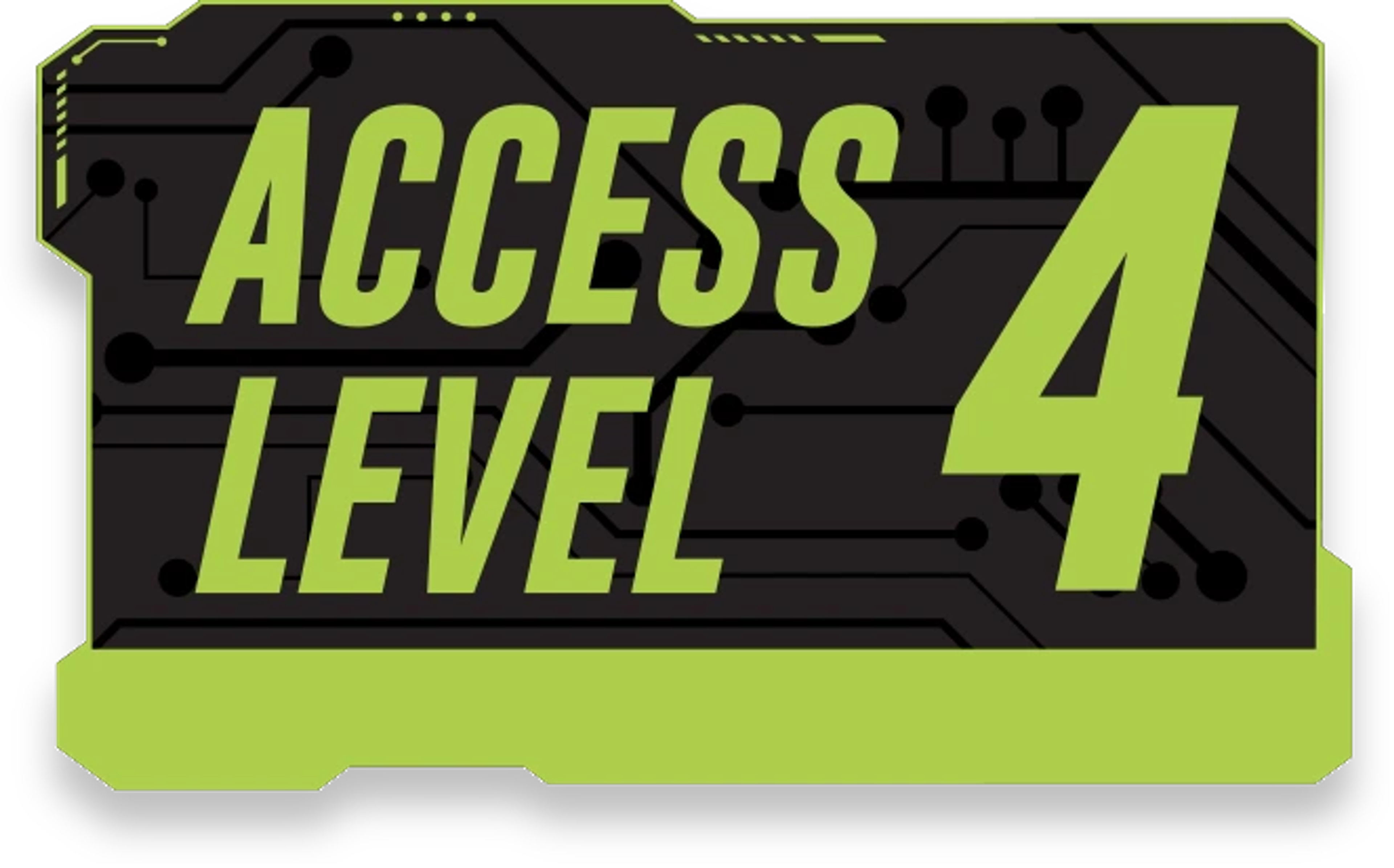 Level 4