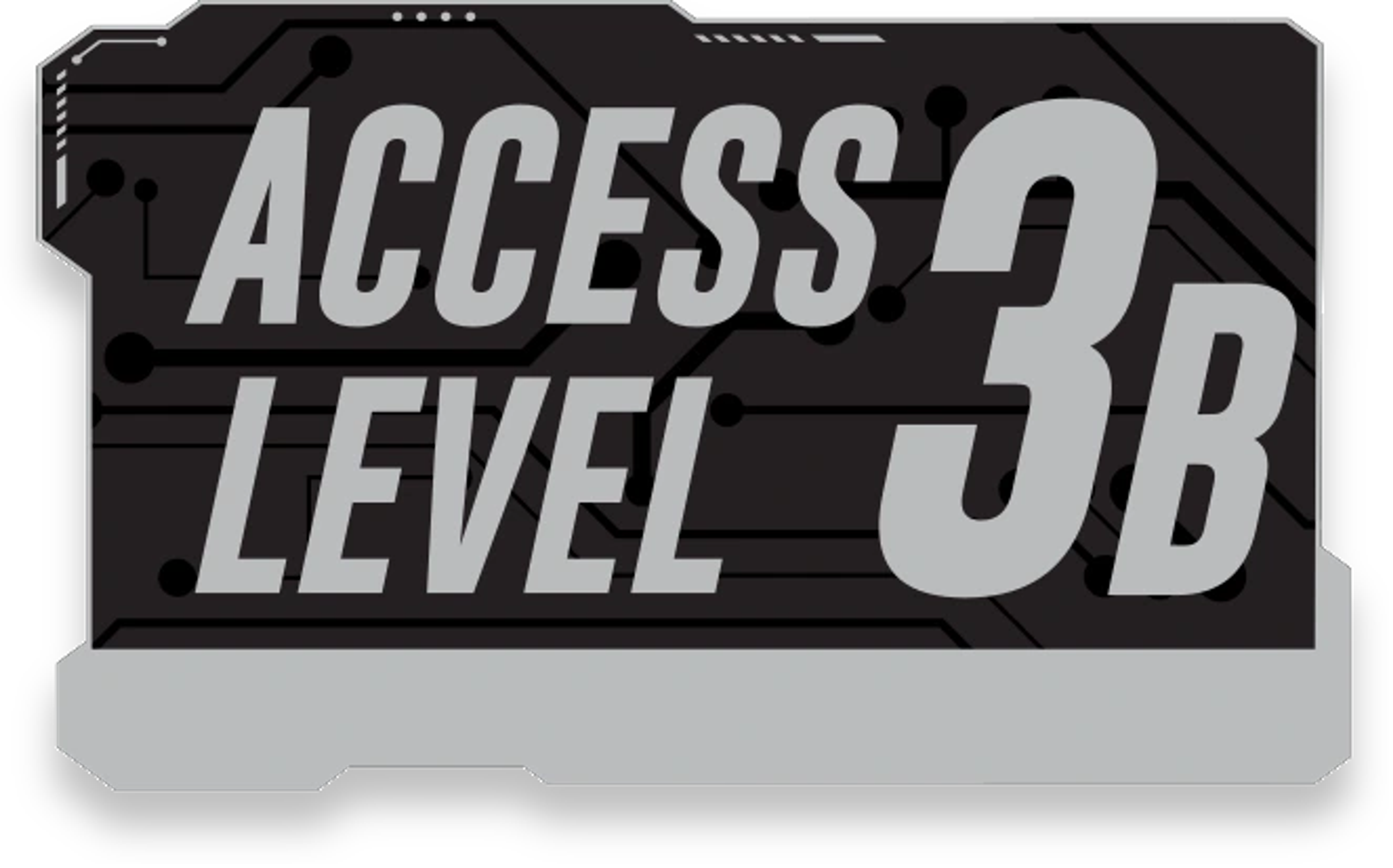 Level 3B