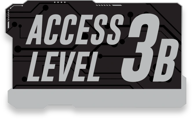 Level 3B