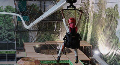Hang-gliding Meets Free-falling Down the Center of AREA15