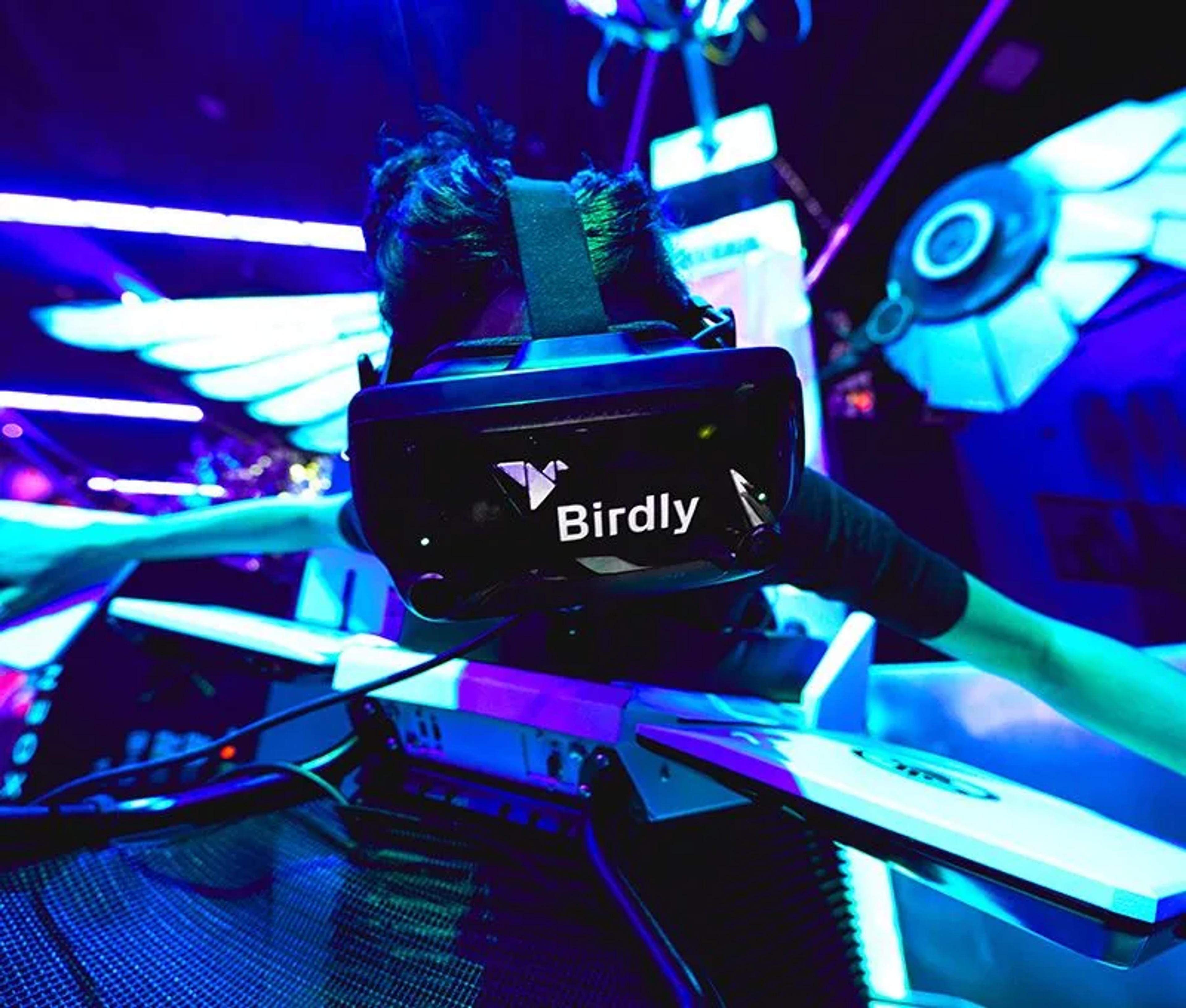 Birdly