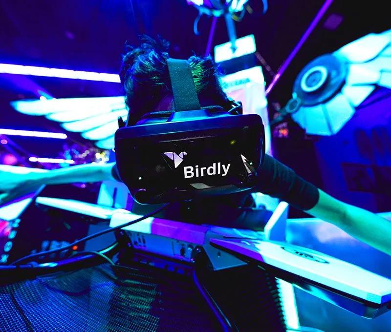 Birdly