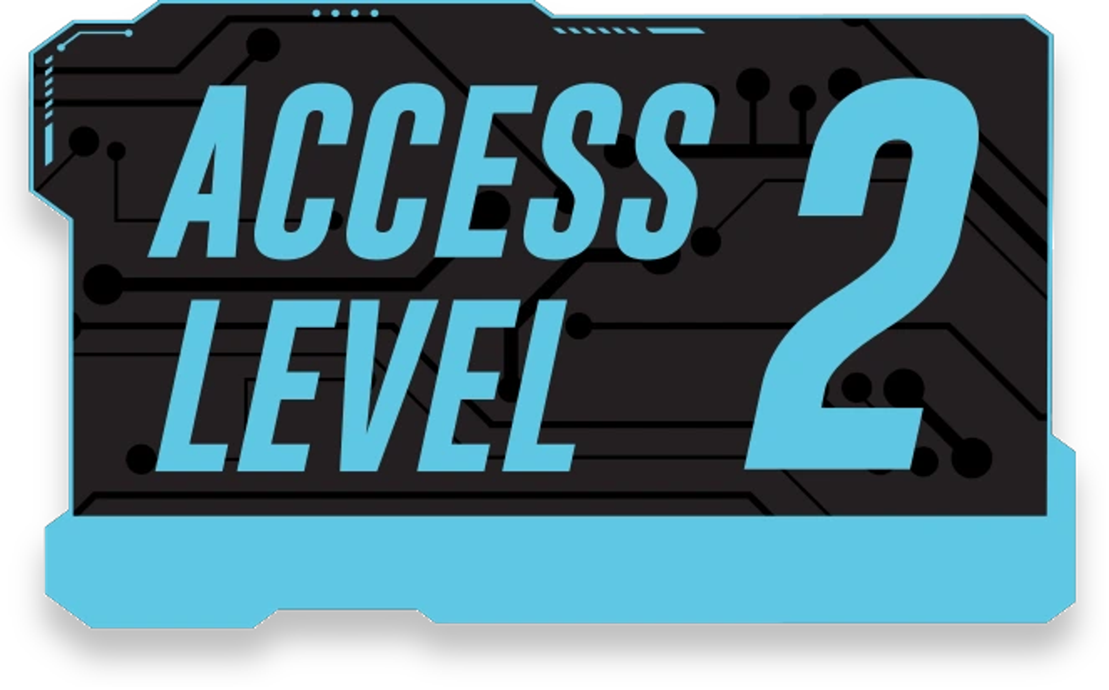 Level 2