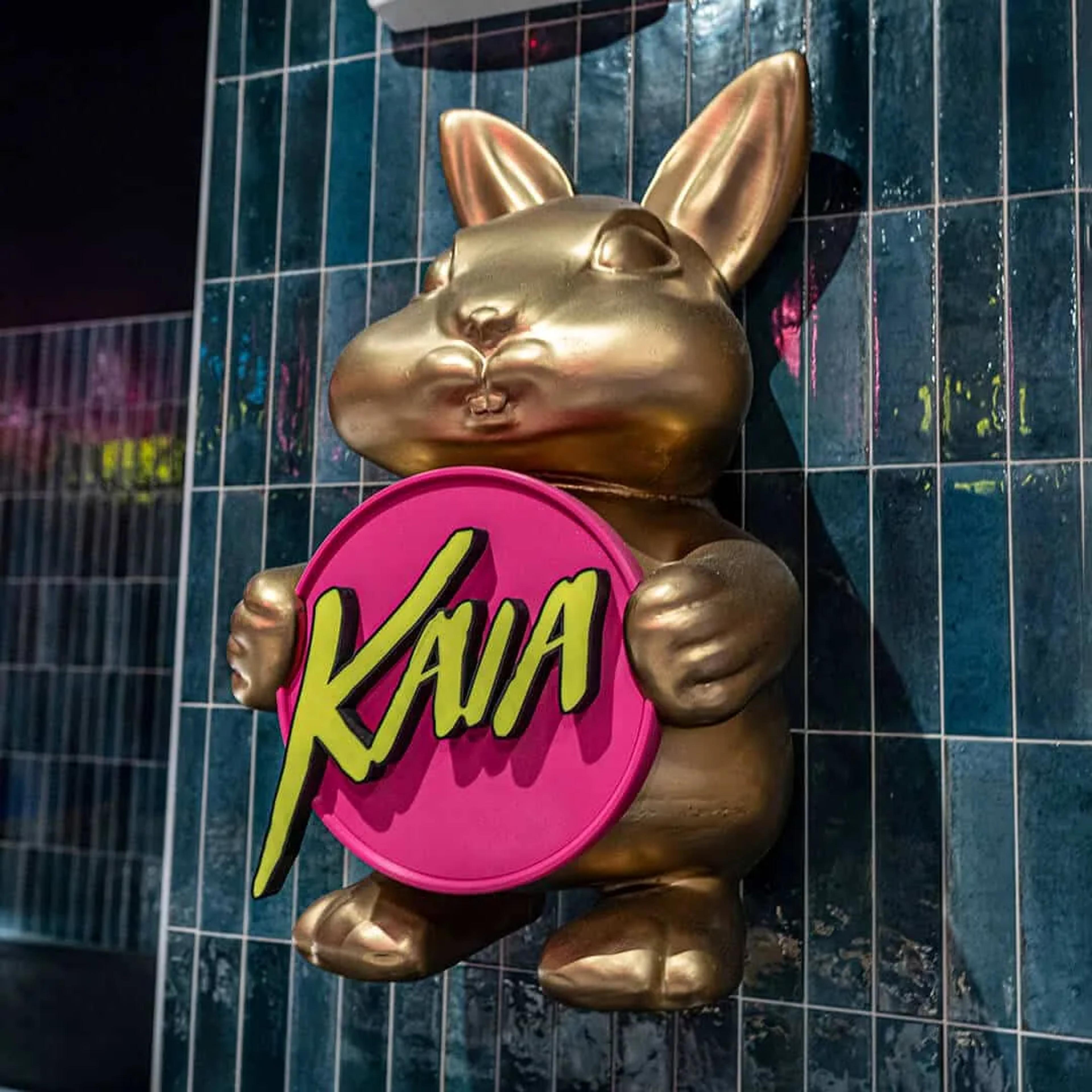 Kaia Bunnies