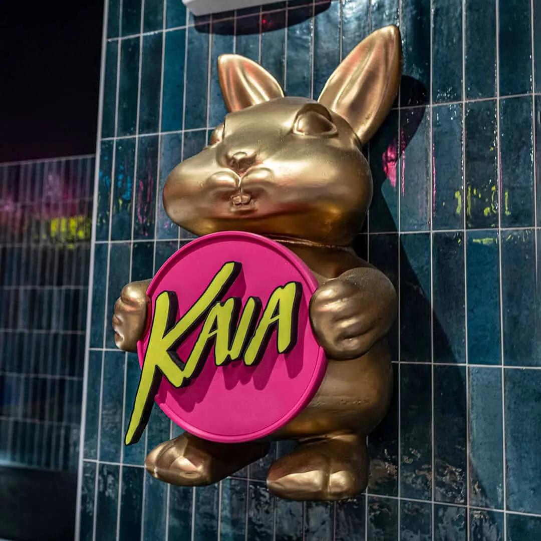 Kaia Bunnies
