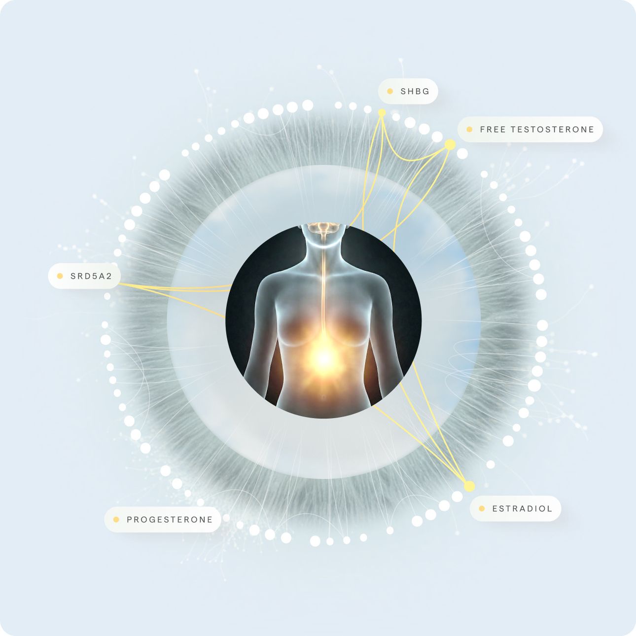 Connected clinical markers around a patient biology visual