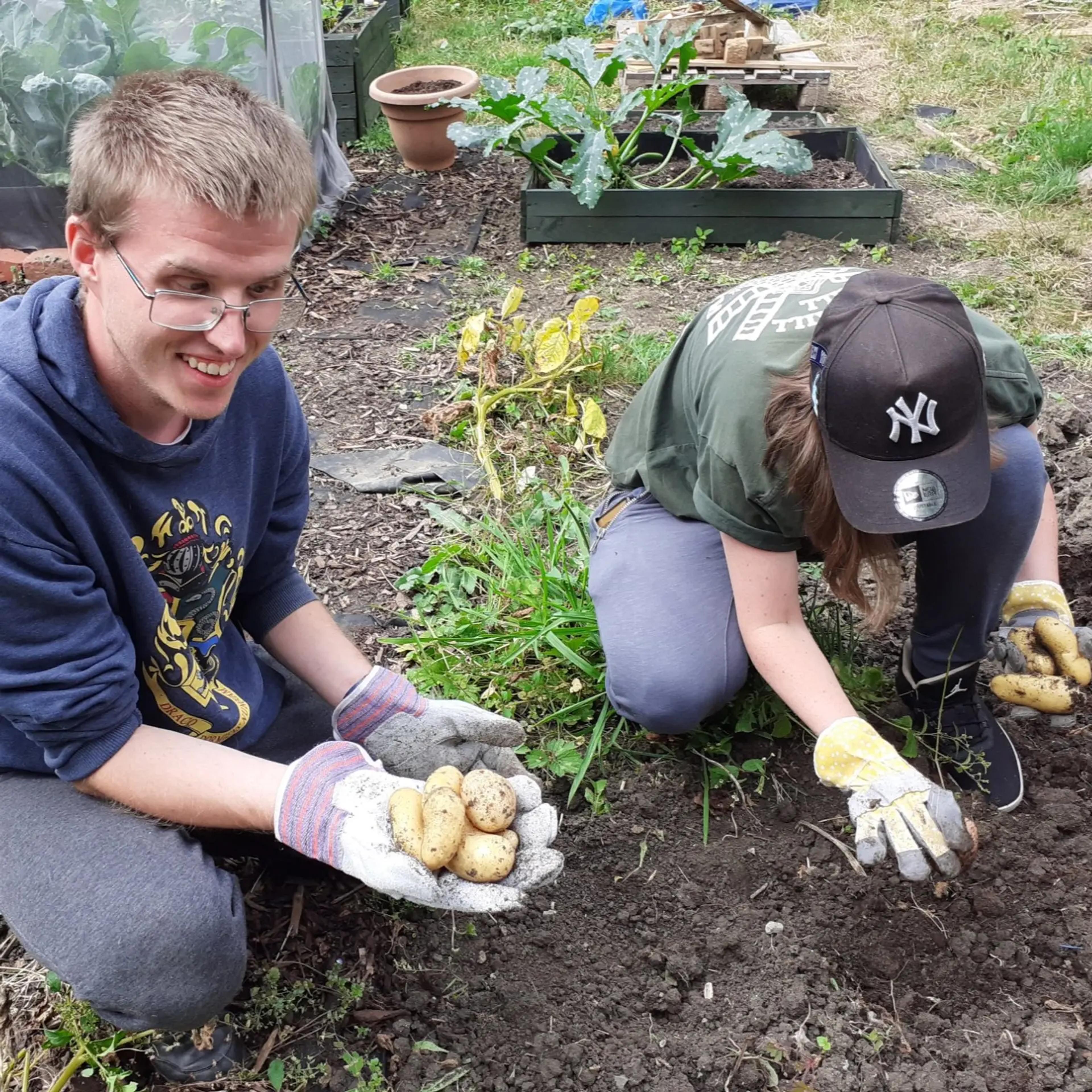 Bristol Young People's Allotment