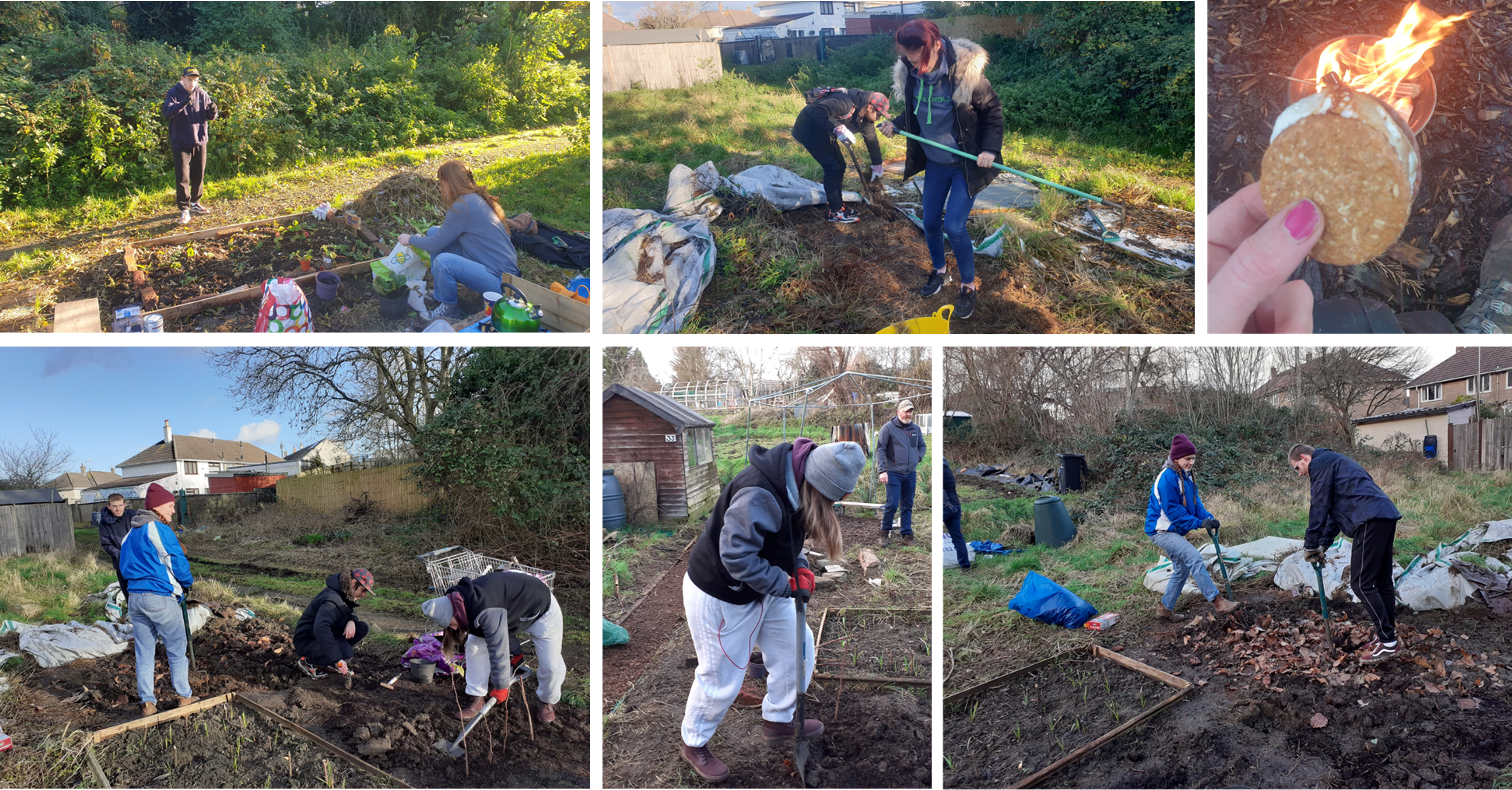 young people allotment bristol