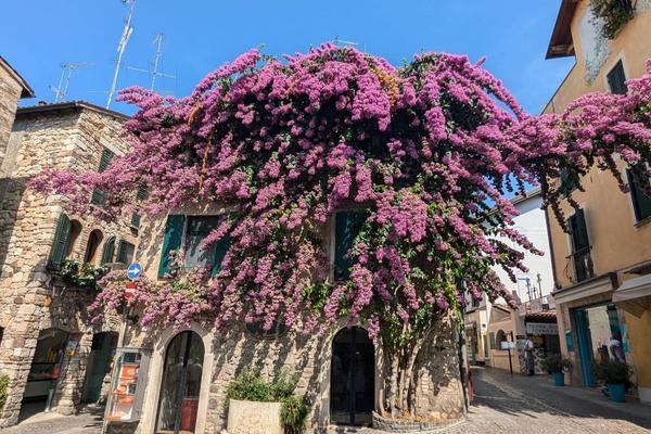 Peschiera del Garda 