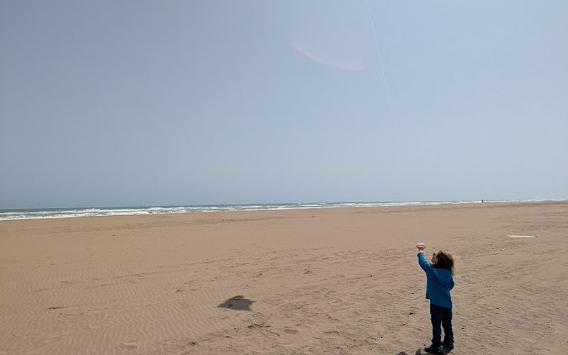 Delta de l'Ebre