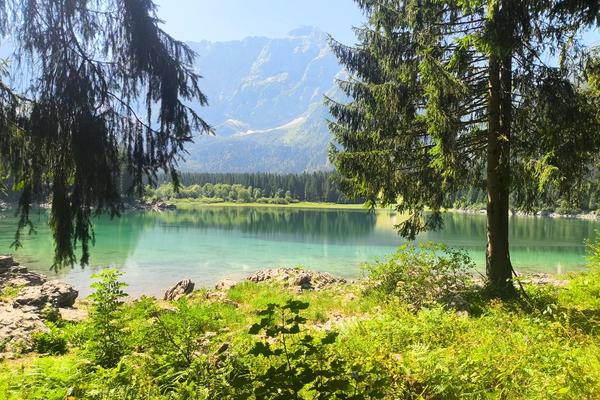 Alps Julians 