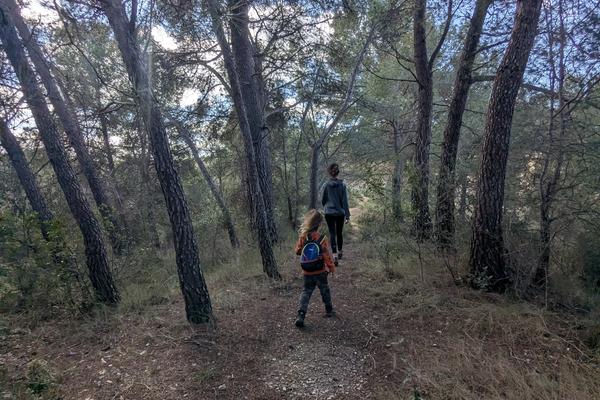 Excursió pels senders i boscos de Sant Pere de Riudebitlles. Rutes curtes entre pins que trenquen la monotonia de les pistes y camins.