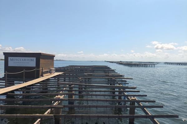 Delta de l'Ebre