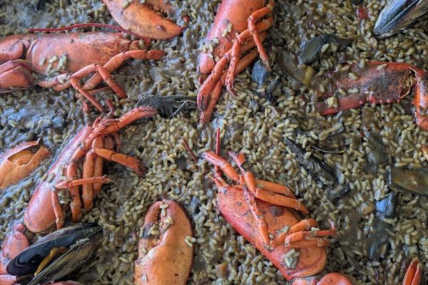 Arrós al restaurant de la Mar del Delta, platja dels Eucaliptus