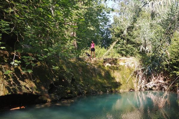 Pèlag del camí del riu entre Sant Pere i Sant Quintí de Mediona