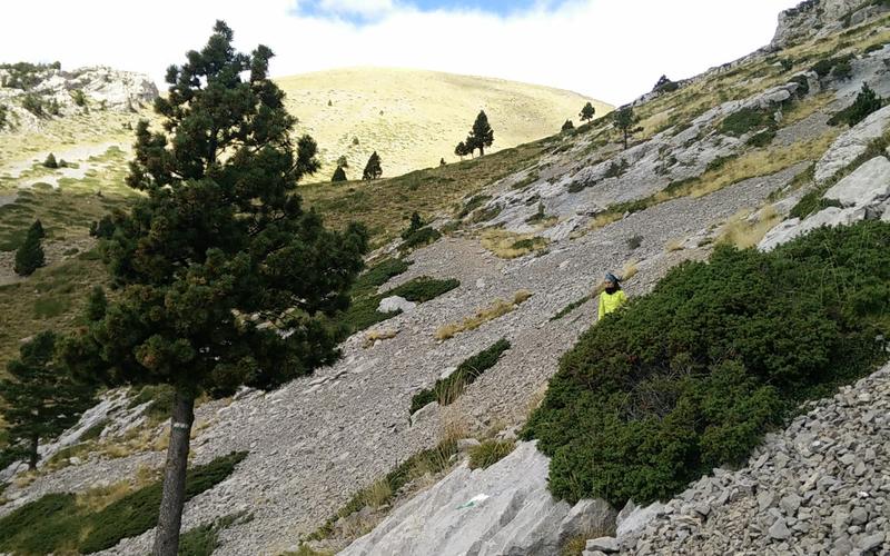 Berguedà