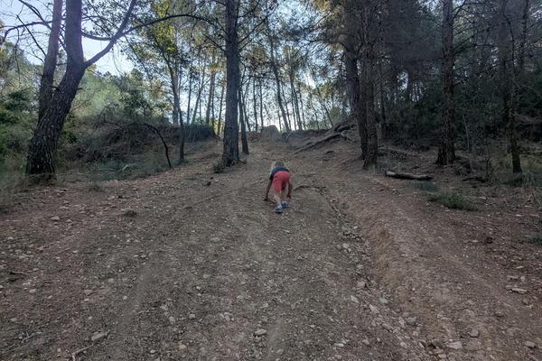 Senders amagats i camins per descobrir entre els arbres, ideal per fugir del sol directe i que els nens s'ho passin d'allò més bé.