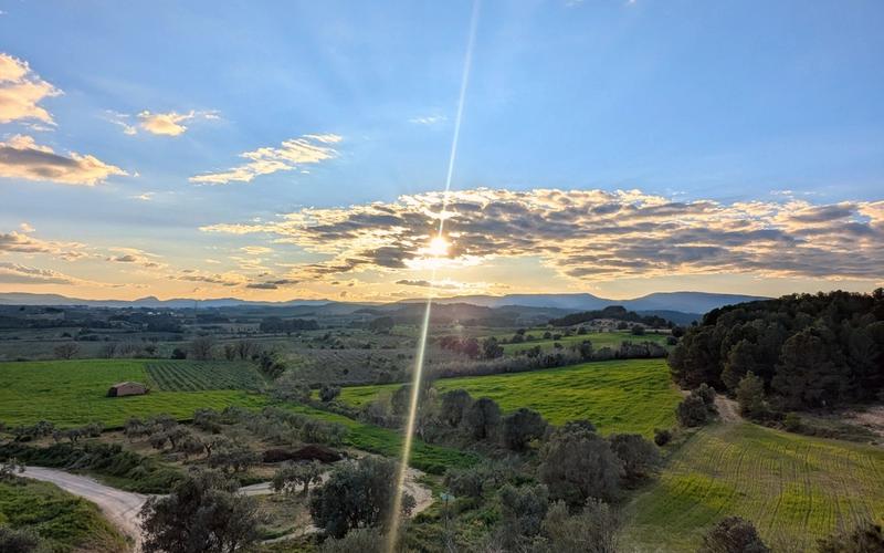 Sant Pere de Riudebitlles