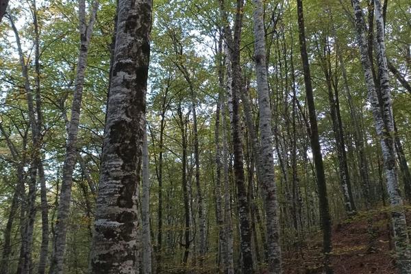 La Garrotxa
