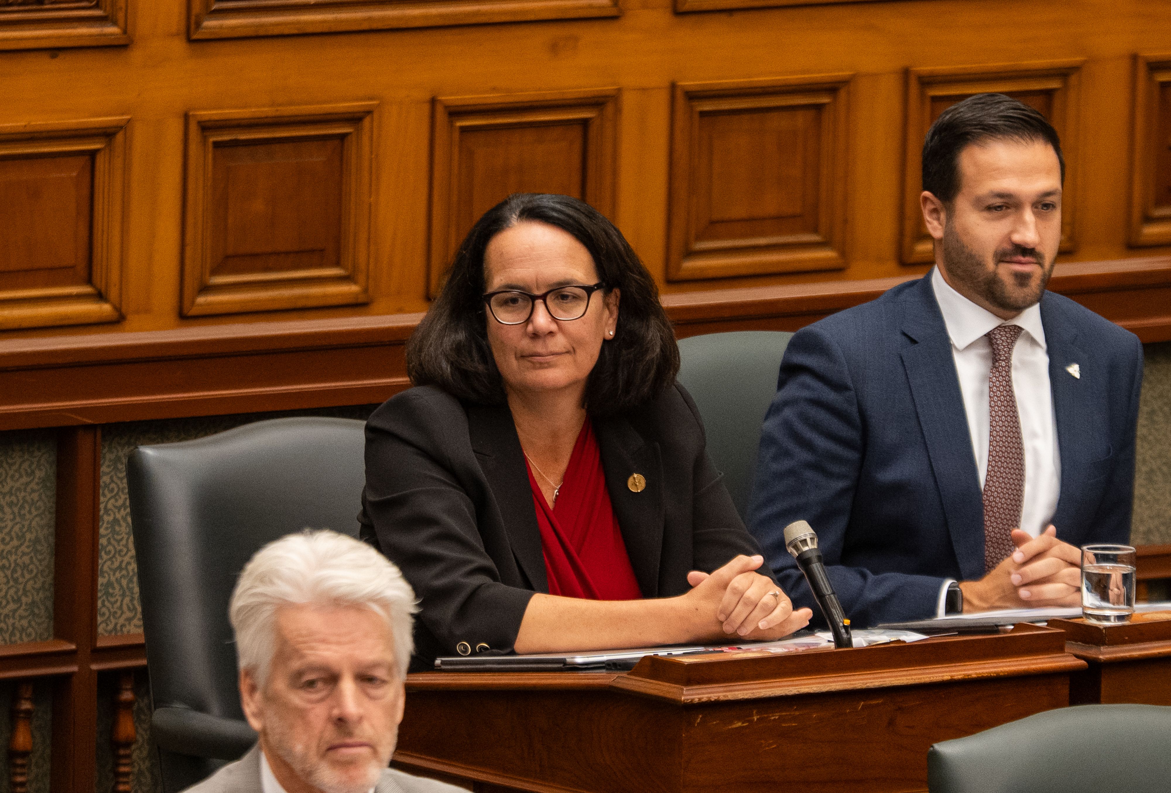 Lee Fairclough enters Ontario Liberal race as first sitting MPP candidate