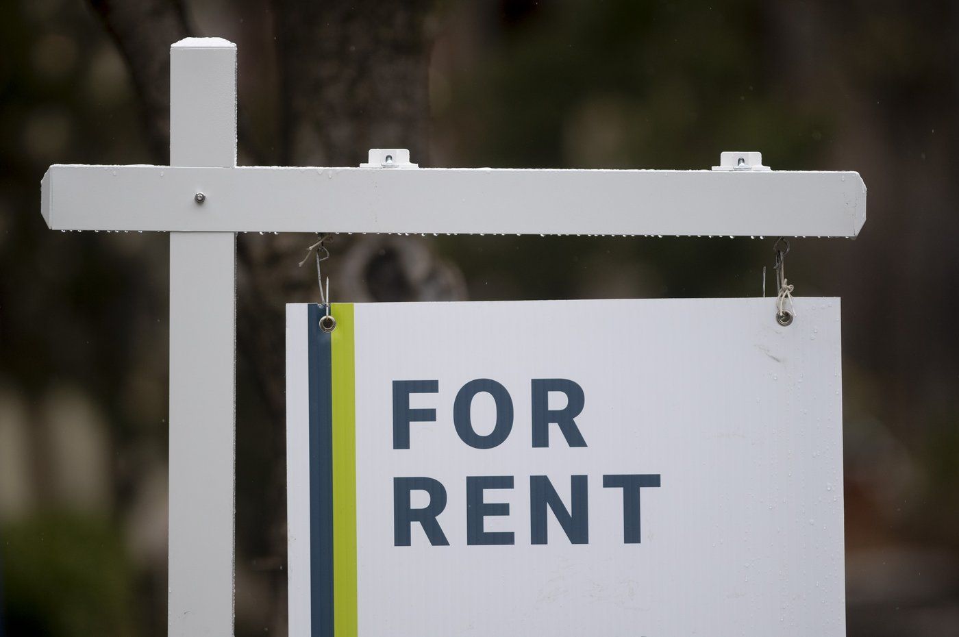Ask For Rent Asking rent prices in March up 8.8% from year ago, but down from ...