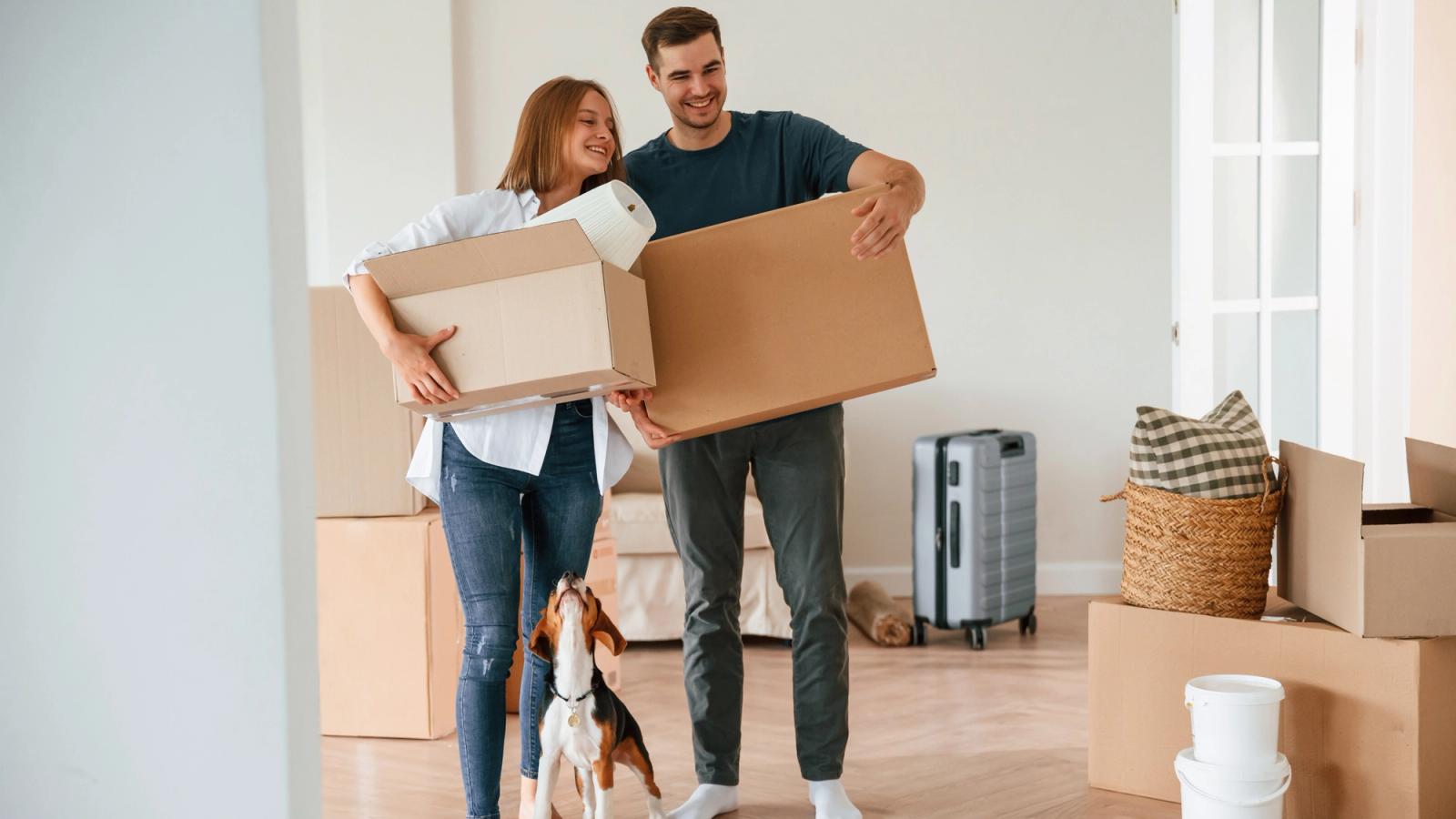 A couple and a dog pack to move.