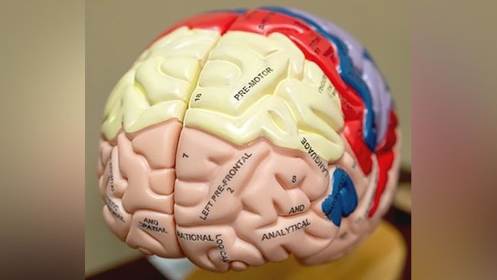 The Concussion Coach app is a free mobile app designed to help Veterans, service members, and civilians manage symptoms of mild traumatic brain injury.