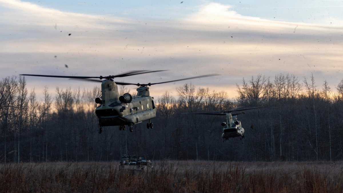 Two helicopters land in a marshy wooded area.