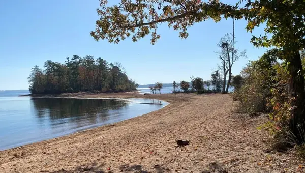 25+ Things to Do Near Fort Jackson in Columbia, SC