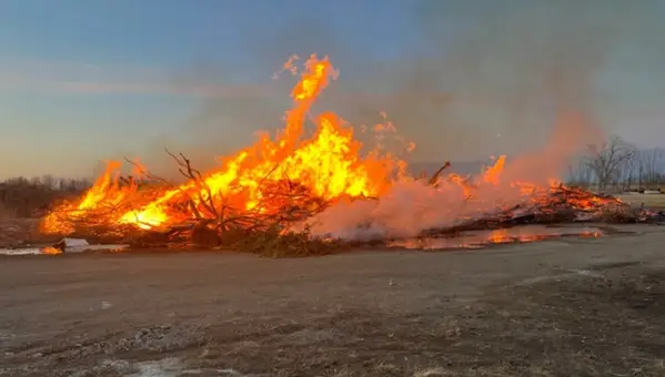 VA Study Links Burn Pit Exposure to Neurological Disorders