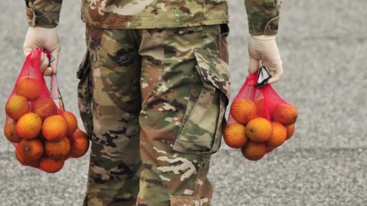Can Veterans Get Food Stamps? Not as Many That Should